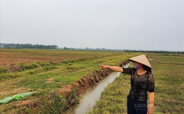 Công chức, viên chức có được nhận thừa kế đất nông nghiệp hay không?