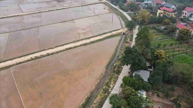Người sử dụng đất nông nghiệp được phép tách thửa để bán, tặng cho một phần thửa đất. Ảnh minh họa: Phan Anh