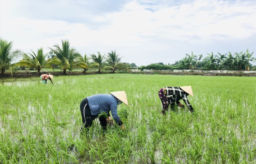 Đất nông nghiệp có được sử dụng kết hợp với mục đích thương mại?